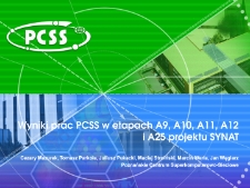 Wyniki prac PCSS w etapach A9, A10, A11, A12 i A25 projektu SYNAT